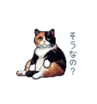 リアクションする三毛猫ポケ（個別スタンプ：23）