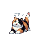 リアクションする三毛猫ポケ（個別スタンプ：24）