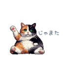 リアクションする三毛猫ポケ（個別スタンプ：25）