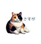 リアクションする三毛猫ポケ（個別スタンプ：28）