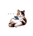 リアクションする三毛猫ポケ（個別スタンプ：29）