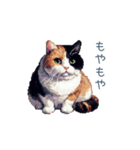 リアクションする三毛猫ポケ（個別スタンプ：30）