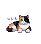 リアクションする三毛猫ポケ（個別スタンプ：31）