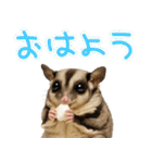 フクモモ兄弟の界隈生活（個別スタンプ：5）