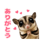 フクモモ兄弟の界隈生活（個別スタンプ：6）