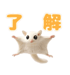 フクモモ兄弟の界隈生活（個別スタンプ：9）