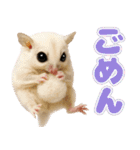 フクモモ兄弟の界隈生活（個別スタンプ：11）