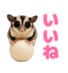 フクモモ兄弟の界隈生活（個別スタンプ：14）