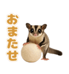 フクモモ兄弟の界隈生活（個別スタンプ：15）