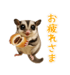 フクモモ兄弟の界隈生活（個別スタンプ：16）