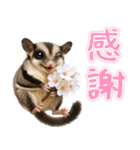 フクモモ兄弟の界隈生活（個別スタンプ：17）