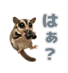 フクモモ兄弟の界隈生活（個別スタンプ：21）