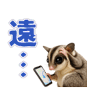 フクモモ兄弟の界隈生活（個別スタンプ：24）