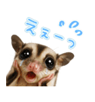 フクモモ兄弟の界隈生活（個別スタンプ：25）