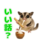 フクモモ兄弟の界隈生活（個別スタンプ：26）