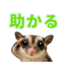 フクモモ兄弟の界隈生活（個別スタンプ：27）