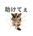 フクモモ兄弟の界隈生活（個別スタンプ：28）