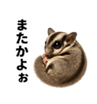 フクモモ兄弟の界隈生活（個別スタンプ：29）