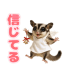 フクモモ兄弟の界隈生活（個別スタンプ：30）