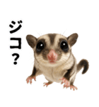 フクモモ兄弟の界隈生活（個別スタンプ：32）