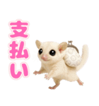 フクモモ兄弟の界隈生活（個別スタンプ：33）