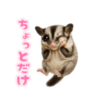 フクモモ兄弟の界隈生活（個別スタンプ：34）