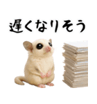 フクモモ兄弟の界隈生活（個別スタンプ：35）