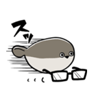 差し出すパスピス（個別スタンプ：5）