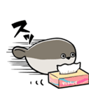 差し出すパスピス（個別スタンプ：16）