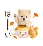 大人かわいい秋の癒しポメラニアン（個別スタンプ：9）
