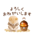 大人かわいい秋の癒しポメラニアン（個別スタンプ：10）