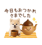 大人かわいい秋の癒しポメラニアン（個別スタンプ：14）