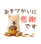 大人かわいい秋の癒しポメラニアン（個別スタンプ：15）