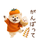 大人かわいい秋の癒しポメラニアン（個別スタンプ：16）