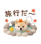 大人かわいい秋の癒しポメラニアン（個別スタンプ：17）