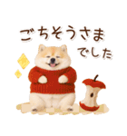 大人かわいい秋の癒しポメラニアン（個別スタンプ：21）