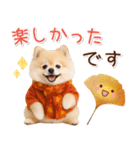大人かわいい秋の癒しポメラニアン（個別スタンプ：22）