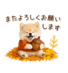 大人かわいい秋の癒しポメラニアン（個別スタンプ：23）