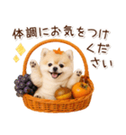 大人かわいい秋の癒しポメラニアン（個別スタンプ：26）