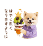 大人かわいい秋の癒しポメラニアン（個別スタンプ：27）