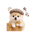 大人かわいい秋の癒しポメラニアン（個別スタンプ：29）
