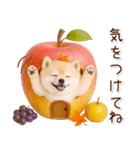 大人かわいい秋の癒しポメラニアン（個別スタンプ：34）
