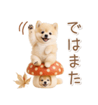大人かわいい秋の癒しポメラニアン（個別スタンプ：36）