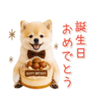 大人かわいい秋の癒しポメラニアン（個別スタンプ：37）