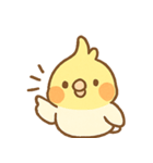 ゆるかわオカメインコちゃん（個別スタンプ：1）