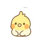 ゆるかわオカメインコちゃん（個別スタンプ：13）