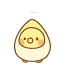 ゆるかわオカメインコちゃん（個別スタンプ：14）