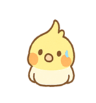 ゆるかわオカメインコちゃん（個別スタンプ：16）