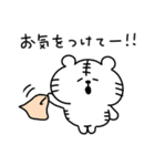 家族連絡用くまおととらたろうのスタンプ（個別スタンプ：40）