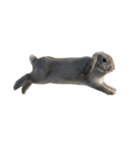 うさぎ J 2（個別スタンプ：9）